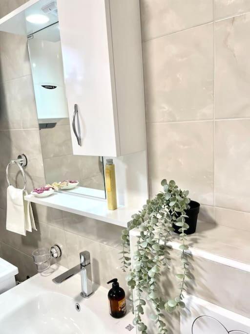 Apartman Dolcerosa Котор Экстерьер фото
